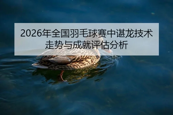2026年全国羽毛球赛中谌龙技术走势与成就评估分析
