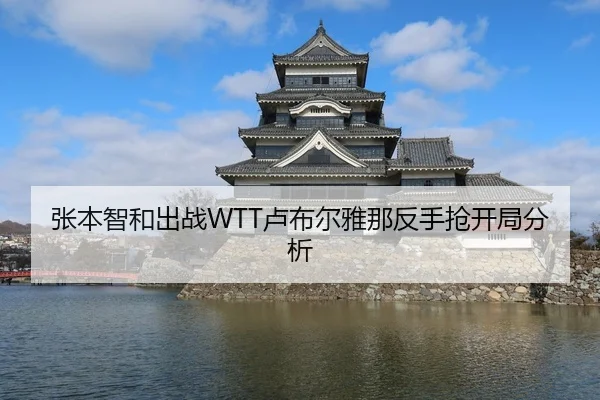 张本智和出战WTT卢布尔雅那反手抢开局分析